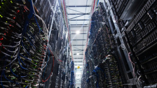 La demanda de electricidad para los centros de datos se duplicar&aacute; con creces a causa de la IA