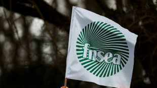 Agriculteurs: la FNSEA n'exclut pas de nouvelles actions d'ici les f&ecirc;tes