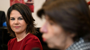 Baerbock nimmt an einer Kabinettssitzung der franz&ouml;sischen Regierung teil