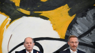 L'Allemagne d&eacute;bloque de nouvelles aides massives contre l'envol&eacute;e des prix 