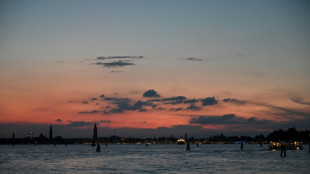 Detenido en Venecia el actor espa&ntilde;ol Gabriel Guevara por agresi&oacute;n sexual en Francia