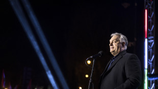 Orban, 'risultato delle elezioni chiaro e doloroso'