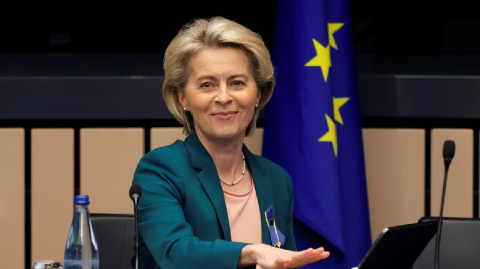 EU-Kommission schl&auml;gt Importstopp f&uuml;r russische Kohle, Holz und Wodka vor