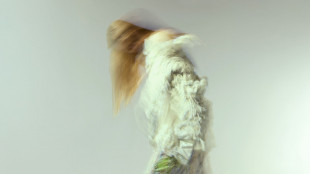 Ied Milano annuncia sei nuovi Fashion Master internazionali