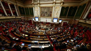 Loi immigration: coup d'envoi des d&eacute;bats &agrave; l'Assembl&eacute;e