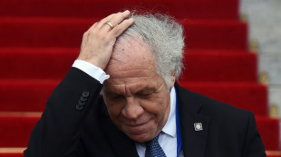 Un panel de la OEA denuncia "desapariciones forzadas en Venezuela" y la "represi&oacute;n" de exiliados