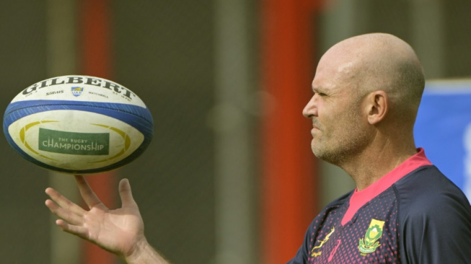 Nienaber to quit South Africa for Leinster after World Cup