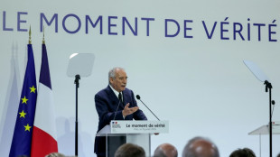 "Ann&eacute;e blanche" et suppression de deux jours f&eacute;ri&eacute;s : Bayrou annonce sa potion budg&eacute;taire am&egrave;re