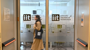 Orsetti e batterie di cioccolato, prima torta robot commestibile