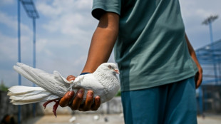 Flight club: Pinching pigeons on the India-Pakistan border