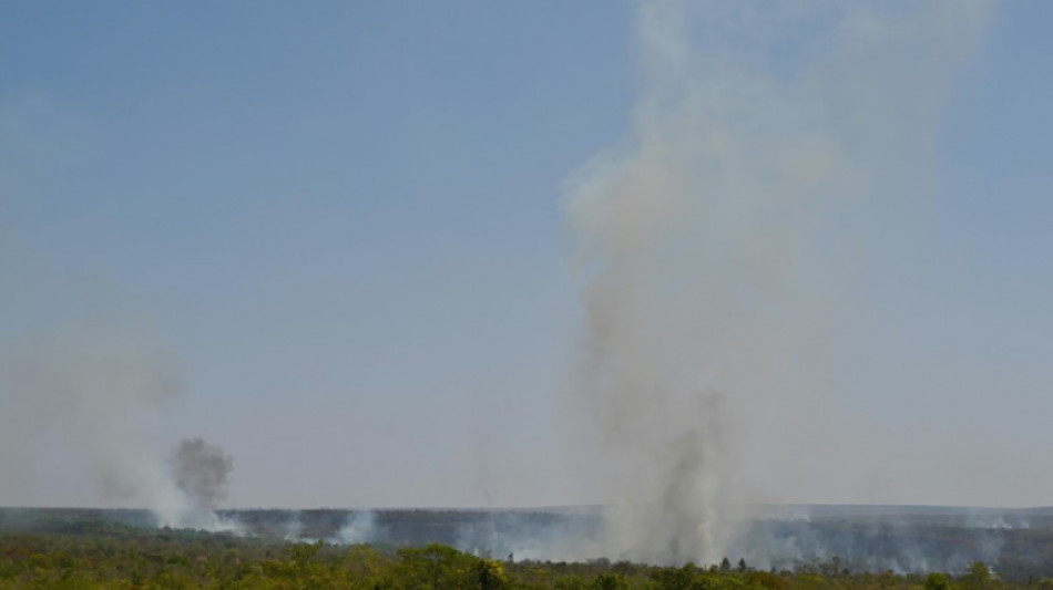 "Intentamos evitar el fin del mundo": la justicia brasile&ntilde;a defiende los gastos por los incendios