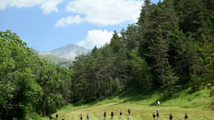 Disparition d'Emile: toujours "aucun indice, aucune information, aucun &eacute;l&eacute;ment"