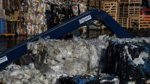 433&nbsp;Kilo pro Kopf: Menge der Haushaltsabf&auml;lle sinkt 2023 auf neuen Tiefststand