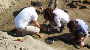 Ricostruita la morte di 2 baby-pterosauri, per una tempesta