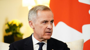 El nuevo primer ministro canadiense convocar&aacute; a elecciones anticipadas el 28 de abril