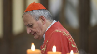 Enviado do papa pela paz na Ucr&acirc;nia visita Washington