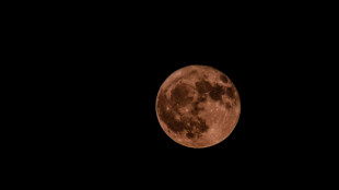 Occhi puntati al detrito del razzo di SpaceX che mercoled&igrave; colpir&agrave; la Luna