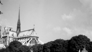 Notre-Dame desperta o amor e consegue a ajuda dos americanos ap&oacute;s inc&ecirc;ndio