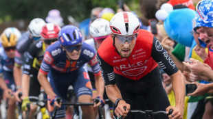 Tour de France: face aux géants, les ambitions décomplexées des puncheurs français