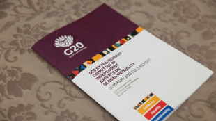 Over 500 economists, top experts call for G20 inequality panel