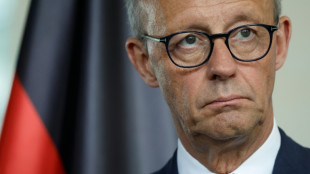 After busy first 100 days, Germany's Merz faces discord at home