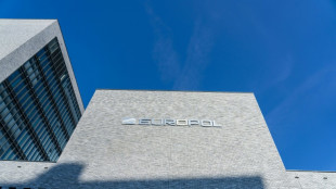 Una operaci&oacute;n de Europol permite desactivar cien servidores dedicados a la ciberpirater&iacute;a