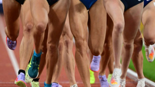 Bund und L&auml;nder gr&uuml;nden Tr&auml;gerverein f&uuml;r Safe Sport