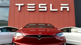 Tesla meldet trotz Problemen f&uuml;r die Branche Rekord-Gesch&auml;ftszahlen