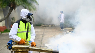 Le Guatemala d&eacute;clare l'&eacute;tat d'urgence sanitaire en raison d'une &eacute;pid&eacute;mie de dengue