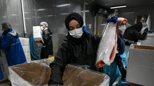 'Turkish salmon': the Black Sea's new rose-coloured gold