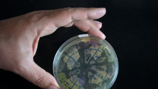 La ciencia argentina, "en el l&iacute;mite del colapso" por los recortes de fondos de Milei