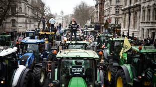 Royaume-Uni: Des centaines de tracteurs &agrave; Londres contre une taxe sur la succession