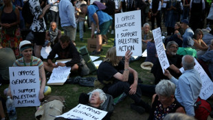 Londoner Polizei: 200 Festnahmen bei Protest f&uuml;r verbotene pro-pal&auml;stinensische Gruppe