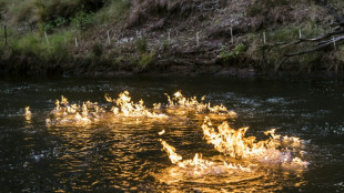 Un estudio revela una brecha significativa en las emisiones de metano reportadas en Australia