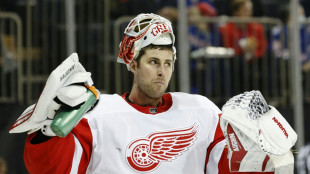 NHL: Deutliche Niederlage f&uuml;r Seider und Greiss