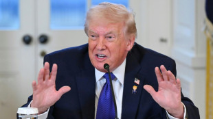 Trump droht mit &Uuml;bernahme Gr&ouml;nlands auf "einfache Art" oder "harte Art"