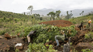 L'ultime bataille de villageois sierra-l&eacute;onais contre la d&eacute;forestation massive de leurs r&eacute;gions