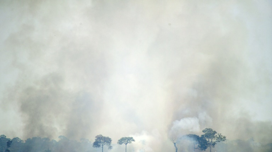 Br&eacute;sil: les surfaces incendi&eacute;es ont presque doubl&eacute; en novembre sur un an (ONG)
