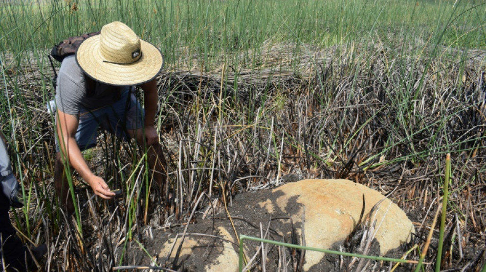 New moai statue found in Easter Island volcano crater laguna