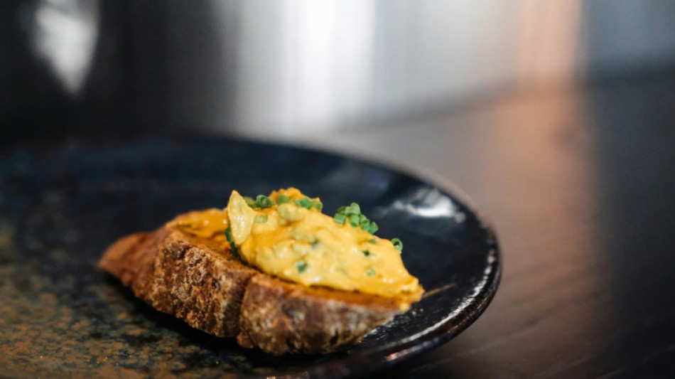 Los "agricultores del futuro" crean en Finlandia una prote&iacute;na comestible a partir de aire y electricidad