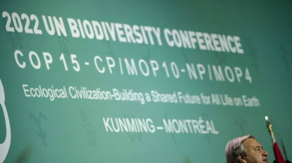 Coup d'envoi de la COP15, le sommet de la d&eacute;cennie pour sauver la nature
