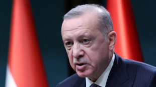 Erdogan &agrave; Kiev pour tenter une m&eacute;diation sans froisser Poutine