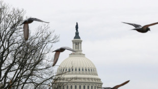 La Chambre am&eacute;ricaine des repr&eacute;sentants adopte une partie du budget 2024 pour &eacute;viter une paralysie de l'Etat f&eacute;d&eacute;ral