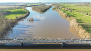 Biodiversit&eacute;: 11 Etats de l'UE appellent &agrave; d&eacute;bloquer un texte-cl&eacute; du Pacte vert