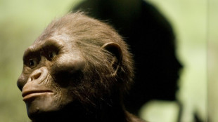 "Regarder nos anc&ecirc;tres en face": un g&eacute;n&eacute;ticien raconte l'histoire de l'humanit&eacute; en photos 