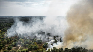 Feuerwehr k&auml;mpft weiter gegen Waldbrand in Naturschutzgebiet im S&uuml;dosten der Niederlande