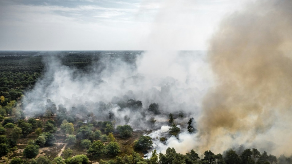 Waldbrand breitet sich in Naturschutzgebiet im S&uuml;dosten der Niederlande aus