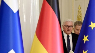 Steinmeier sichert Finnland volle Unterst&uuml;tzung Deutschlands zu
