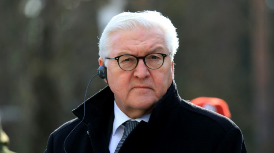 "Spiegel": Steinmeier erw&auml;gt Reise nach Kiew
