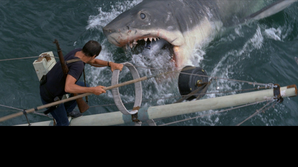 Lo Squalo di Spielberg, i 50 anni del primo blockbuster